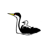 print of grebe mother with baby riding on back