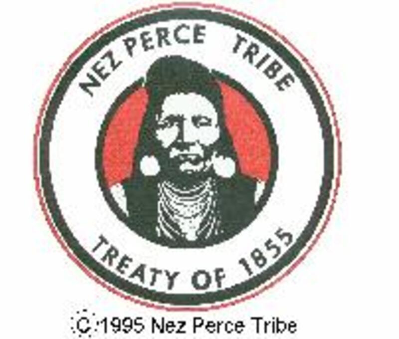 In this module you will be introduced to the Nimíipuu, also called the Nez Perce. We have a rich and vibrant culture, which has existed since time immemorial and which continues to this day. As a result of your engagement in this module, you will gain a better understanding of the influence of the Nimíipuu not only on Lewis and Clark and the Corps of Discovery, but also on American history and culture. You will also gain an appreciation of how the Corps of Discovery impacted the Nimíipuu.