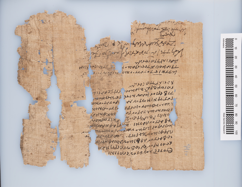A papyrus tax reciept.