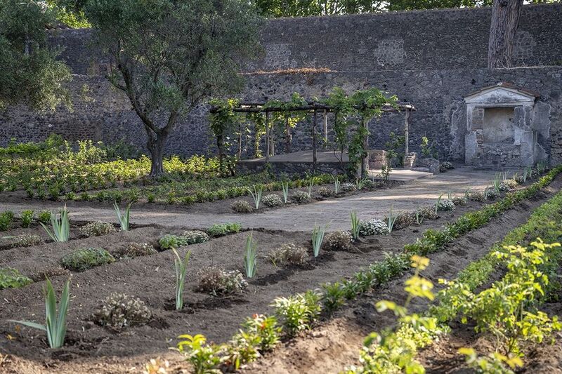Picture of the recreated garden in Pompeii, believed to have been a perfume garden, with growing plants and trellis