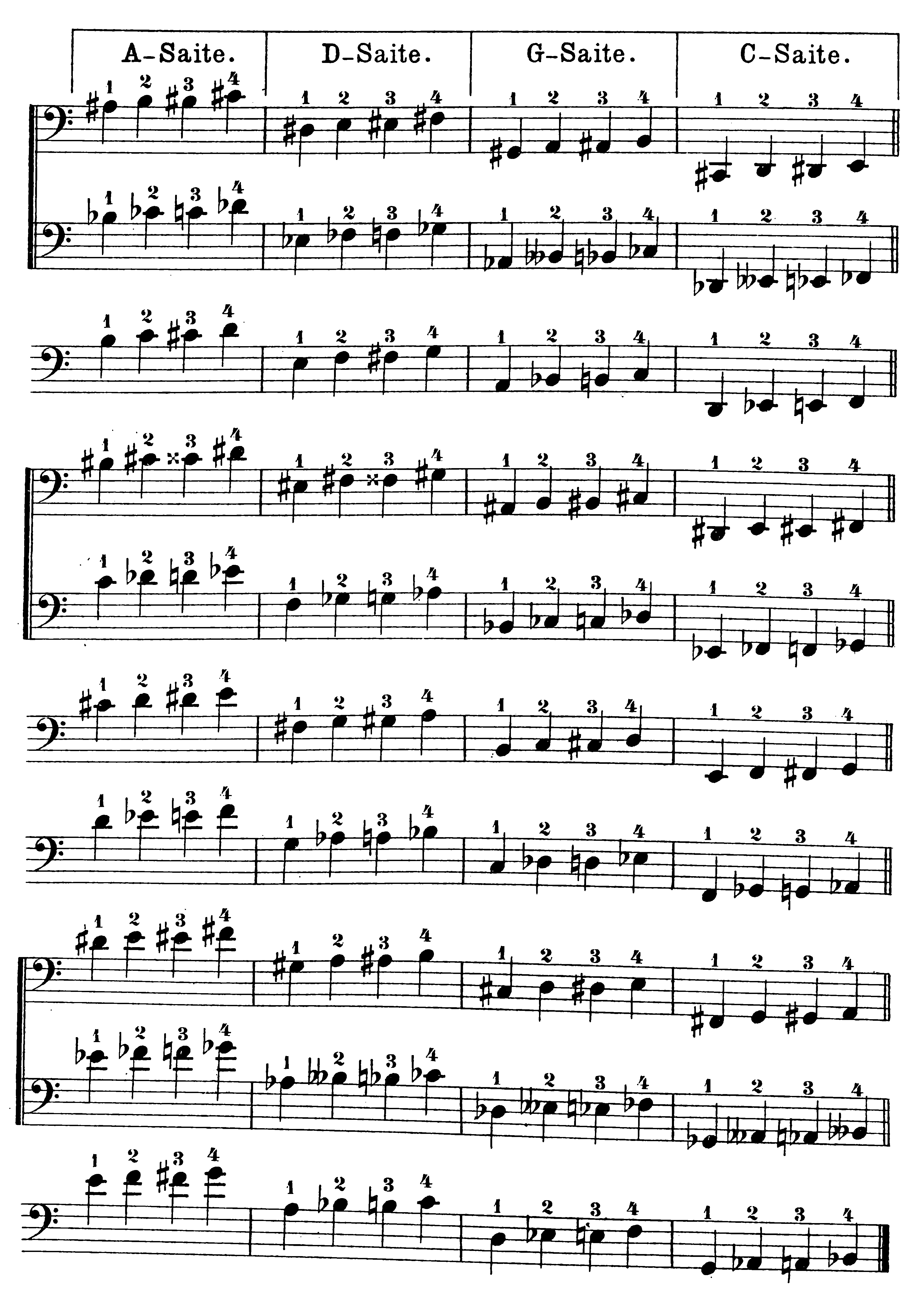 musical notation