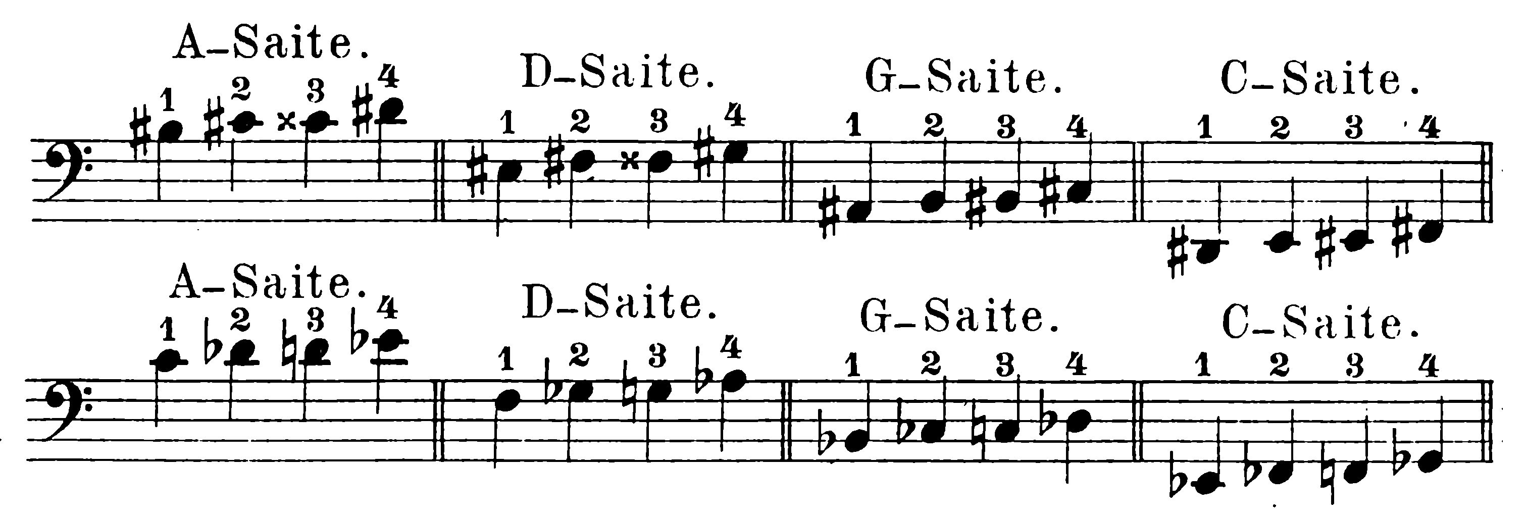 musical notation