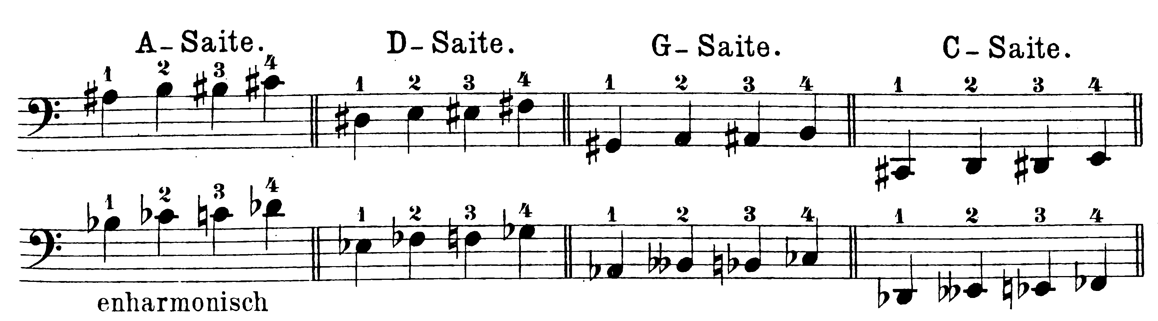 musical notation