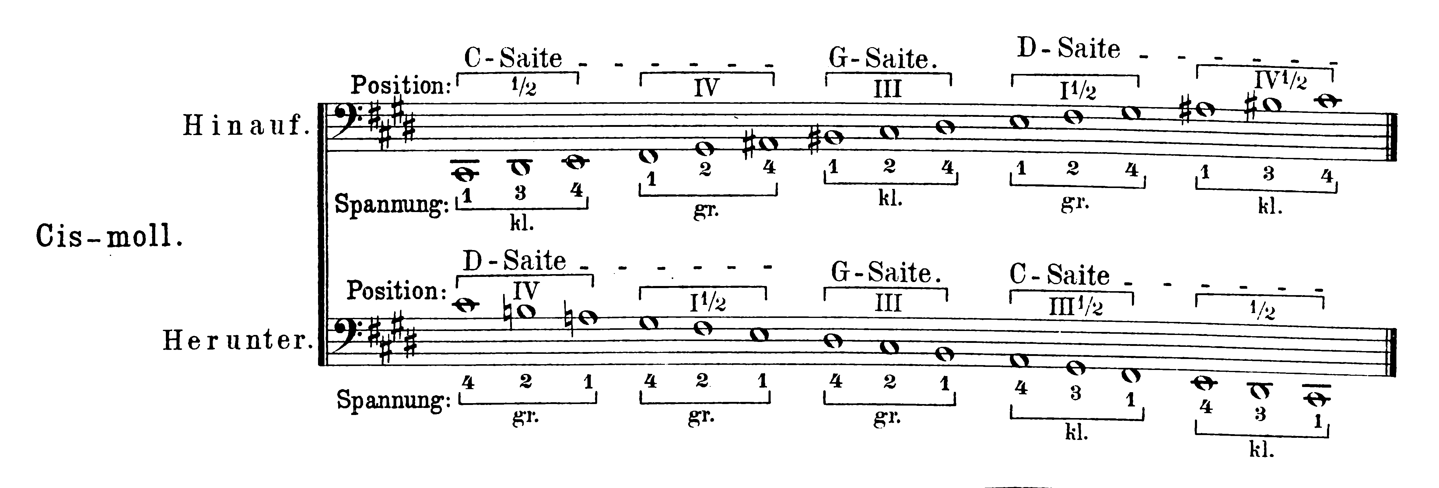 musical notation